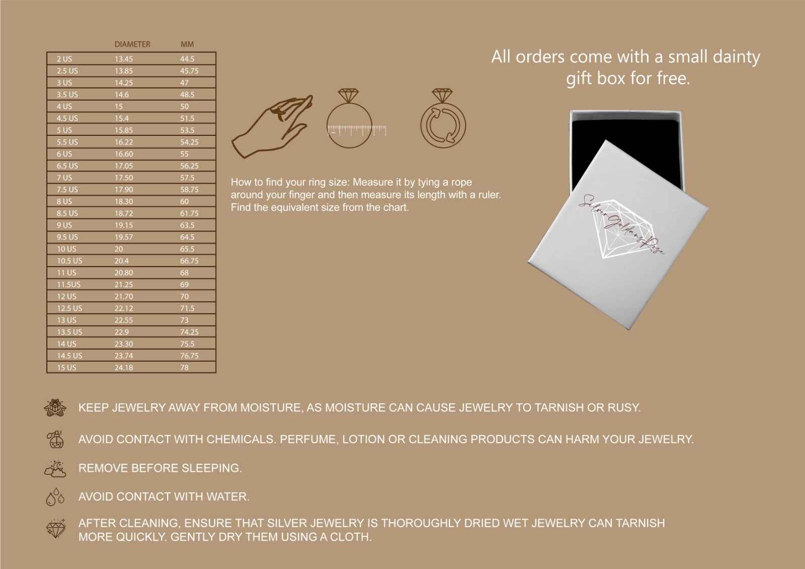 Timeless Silver Signet